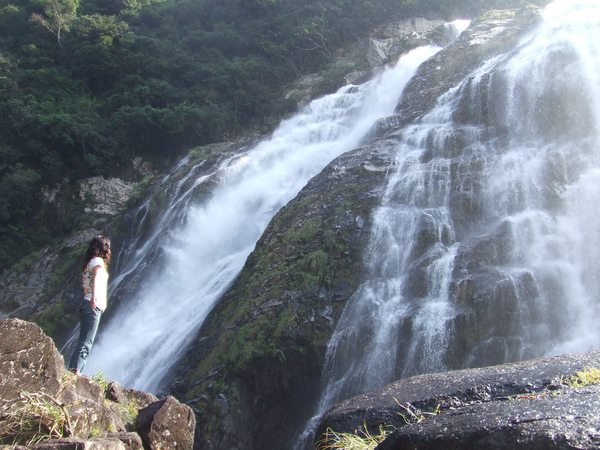 大川瀑布(屋久島)