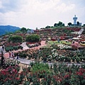 鹿屋玫瑰園(鹿屋市)