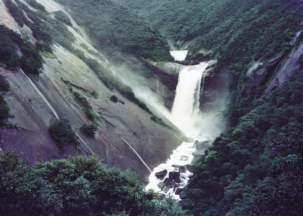 千尋瀑布(屋久島)