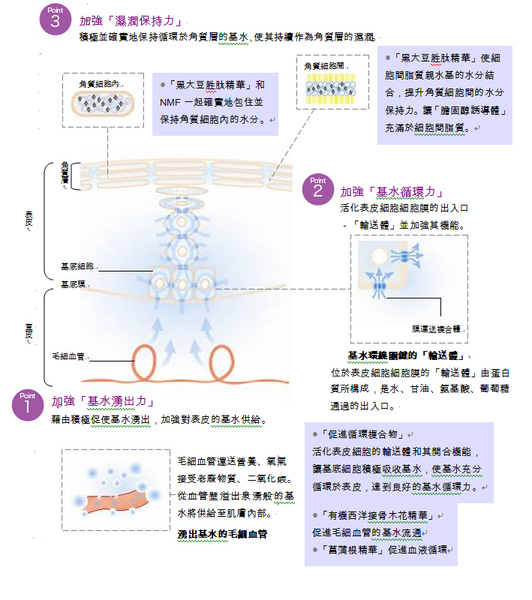 共通美容成分.bmp