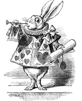 alice rabbit