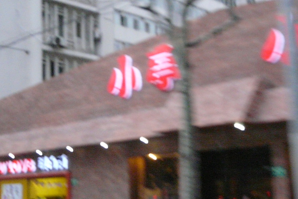 P1670725.JPG