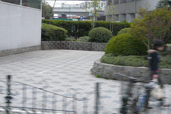 P1670729.JPG