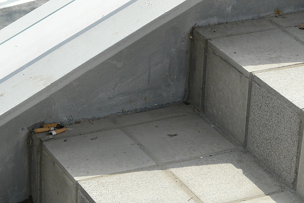 P1670633.JPG