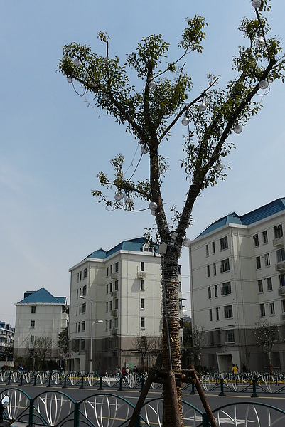 P1670637.JPG