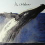 Mr.Children - SENSE - 8/12 - 蒼