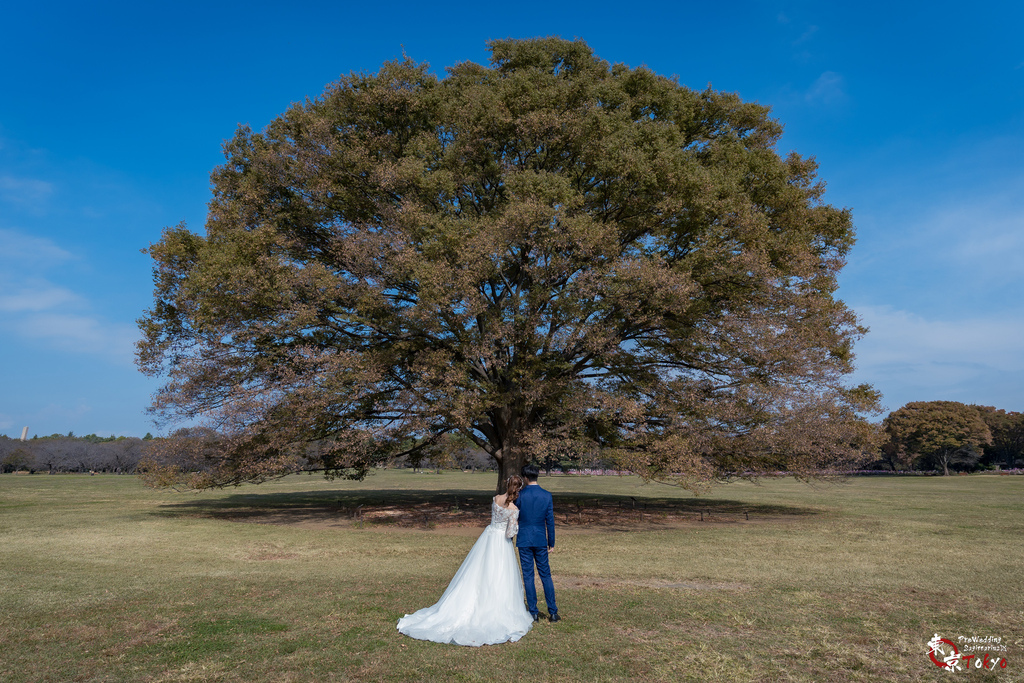 日本婚紗 編號 2023-10-03 東京婚紗 秋季 Pre