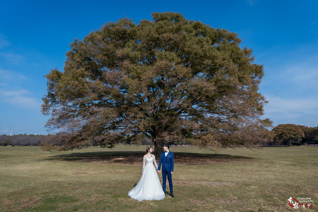 日本婚紗 編號 2023-10-03 東京婚紗 秋季 Pre