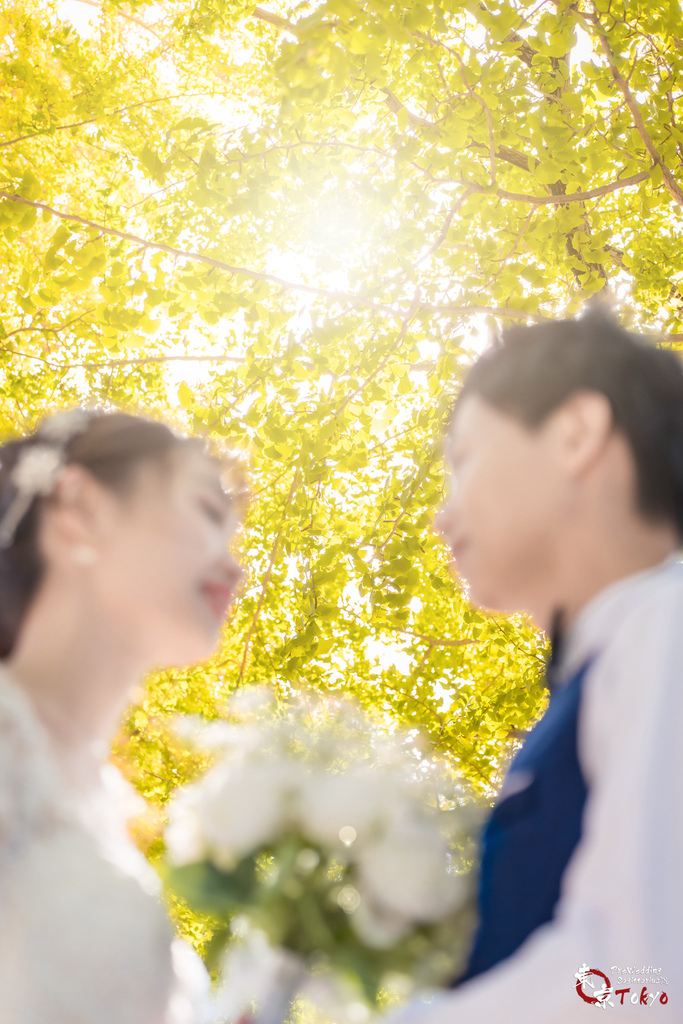 日本婚紗 編號 2023-10-03 東京婚紗 秋季 Pre