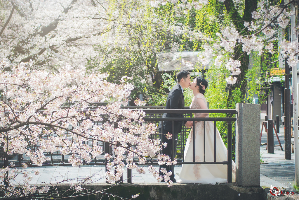 日本婚紗 編號 2023-03-01 京都婚紗 櫻花季 Pr