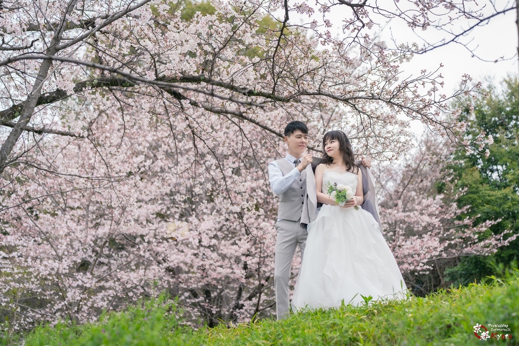 日本婚紗 編號 2024-03-04 京都婚紗 櫻花季 Pr