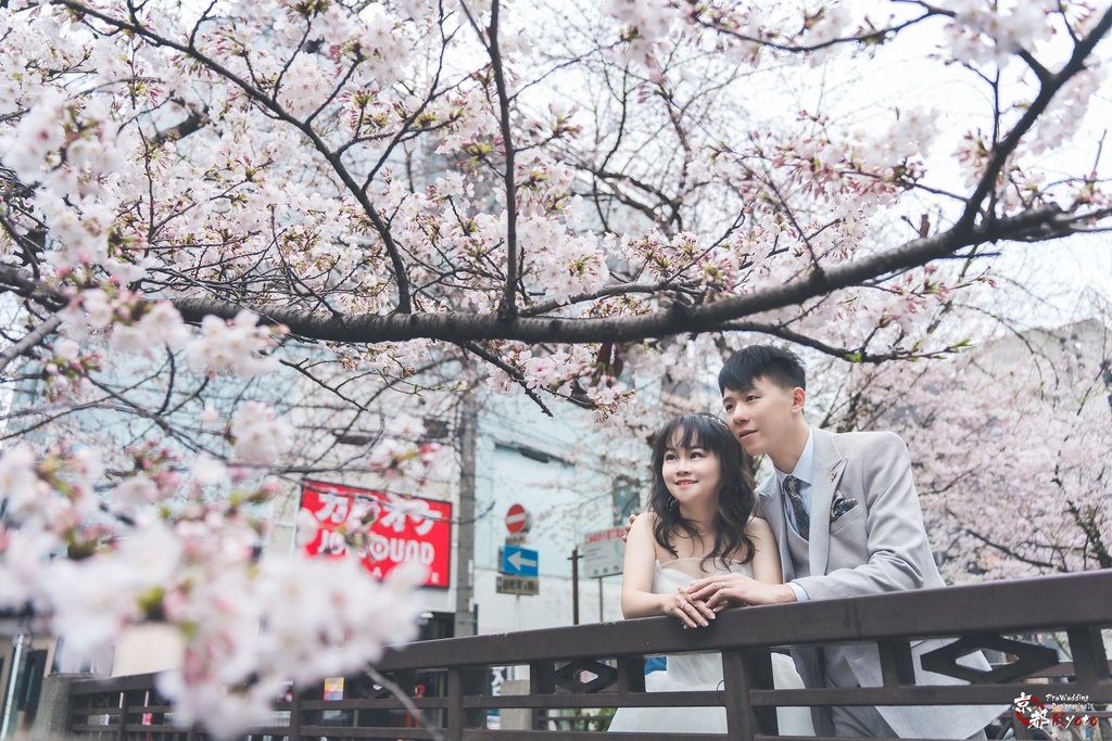 日本婚紗 編號 2024-03-04 京都婚紗 櫻花季 Pr