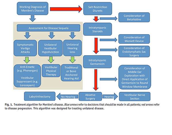 眩暈百百種 令人苦惱的梅尼爾氏症 Snowqueen的部落格 痞客邦