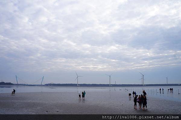 高美溼地 - 冷颼颼的海風