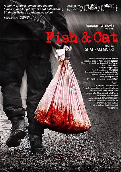 Fish & cat-poster