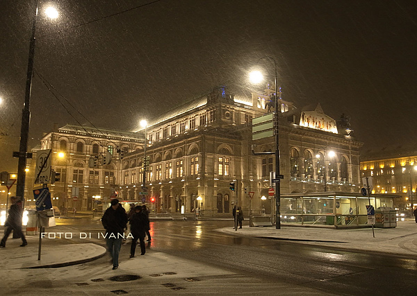 3/6 Vienna 風雪交加  行人匆匆