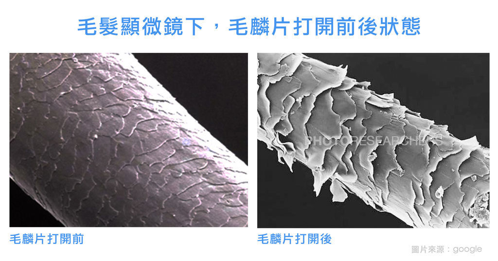 毛麟片.jpg 毛麟片.jpg