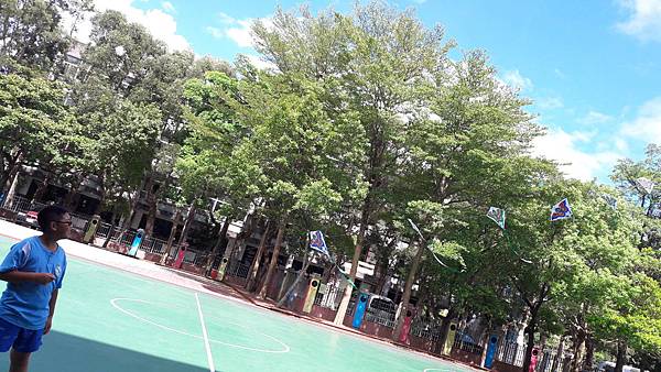 20160731_143050.jpg 20160731_143050.jpg