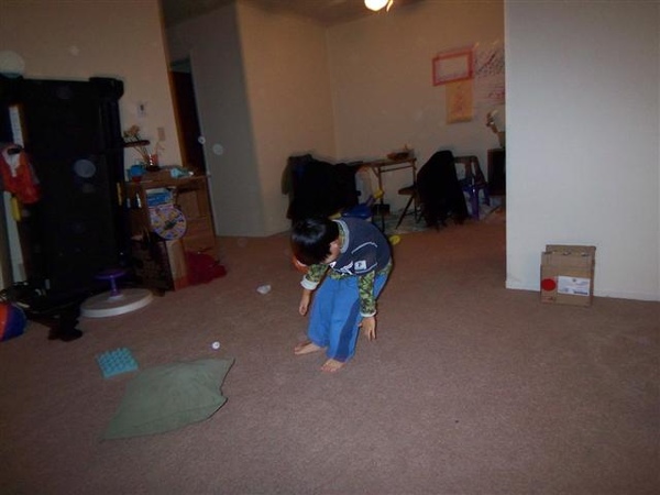 20081224-7 20081224-7