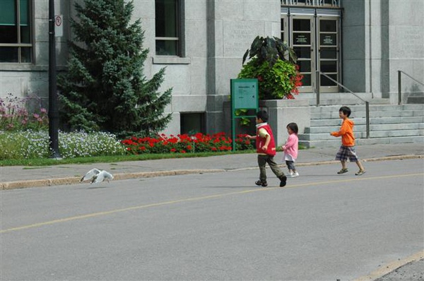 20090825-8 20090825-8