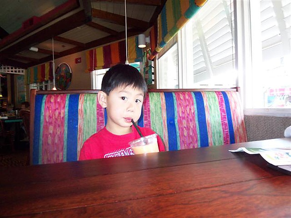 20100430-1 20100430-1