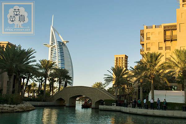 DSC_031502.jpg DSC_031502.jpg