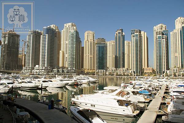 DSC_02720.jpg DSC_02720.jpg