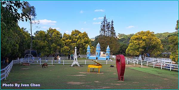 《桃園景點》假日桃園一日遊/親子互動之草泥馬笑笑羊可愛動物出