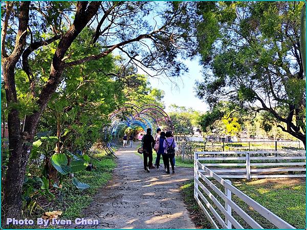 《桃園景點》假日桃園一日遊/親子互動之草泥馬笑笑羊可愛動物出