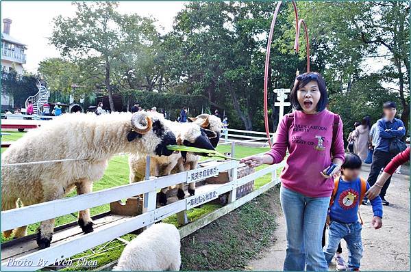 《桃園景點》假日桃園一日遊/親子互動之草泥馬笑笑羊可愛動物出