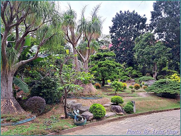 《苗栗景點》免門票/// 『品園日式花園』Iven の窩-分