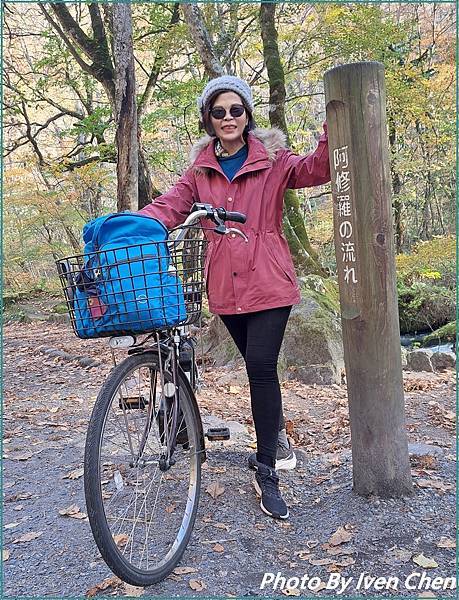 《奧入瀨溪流》2024/10/29-日本之旅第一部曲/騎單車