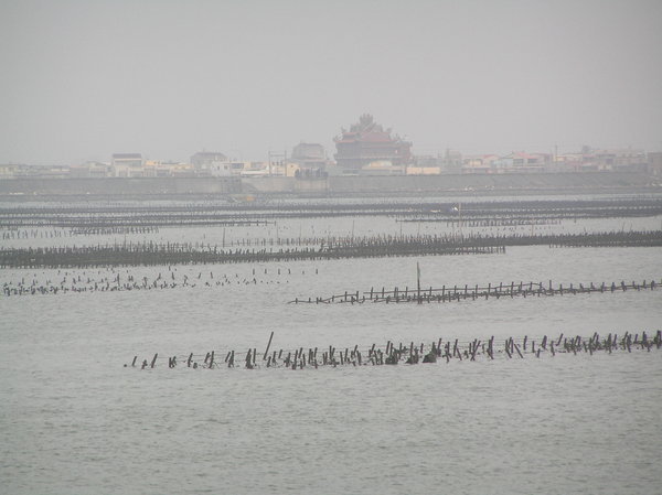 海神廟??瞎掰的...