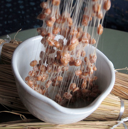 natto-stickysticky.jpg