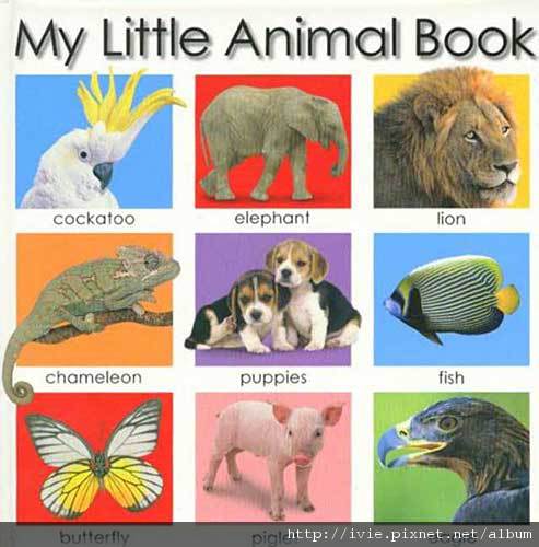 my_little_animal_book.jpg