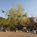 圓山公園