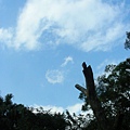 20111029 065.jpg