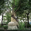 鳳山銀河-雙子座-1.JPG