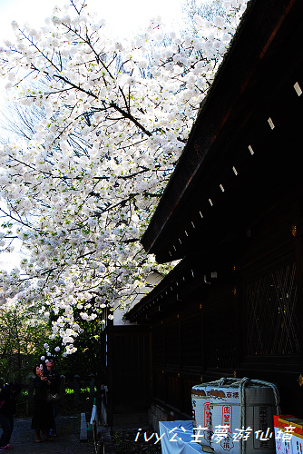 平野神社