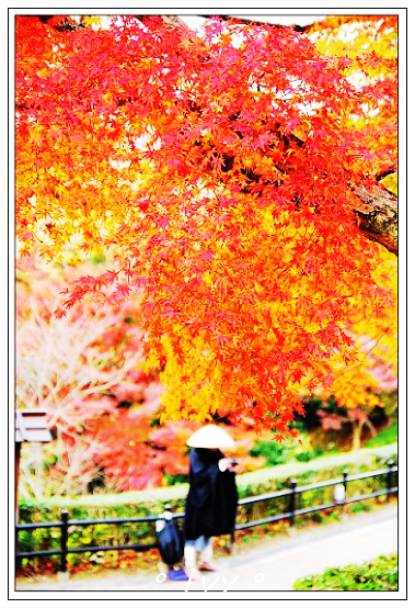 清水寺