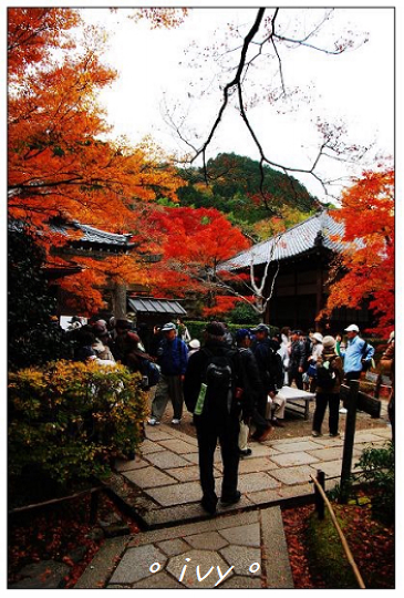 常寂光寺