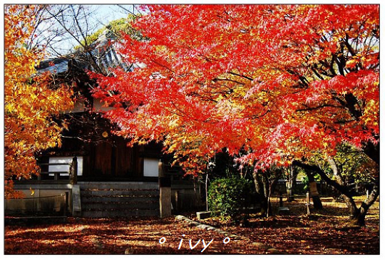 清涼寺