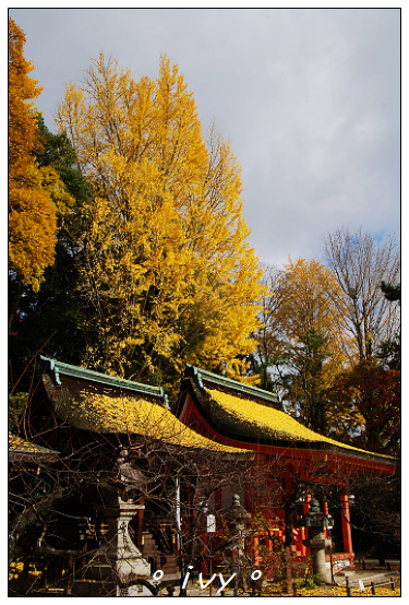 北野天滿宮