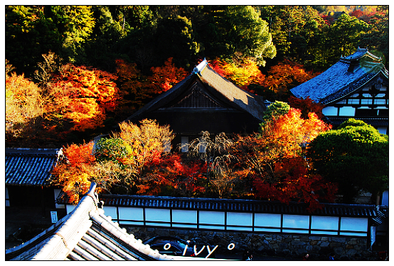 南禪寺 南禪寺