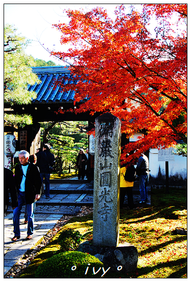 圓光寺