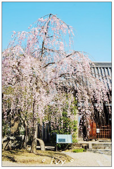 平等院