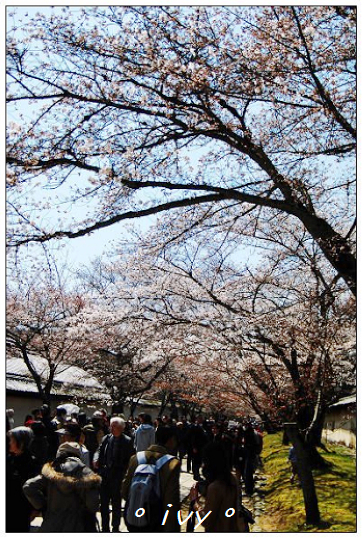 醍醐寺