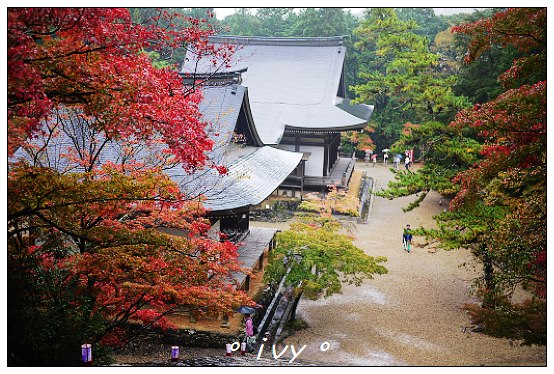 神護寺