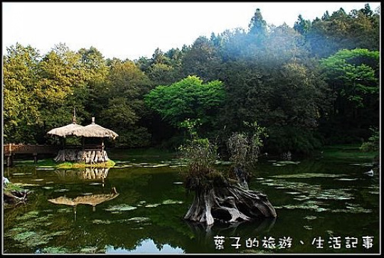 阿里山