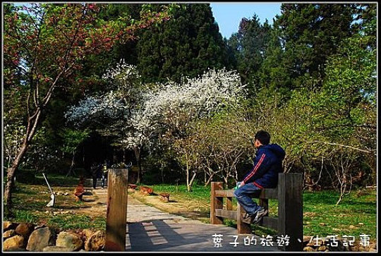 阿里山